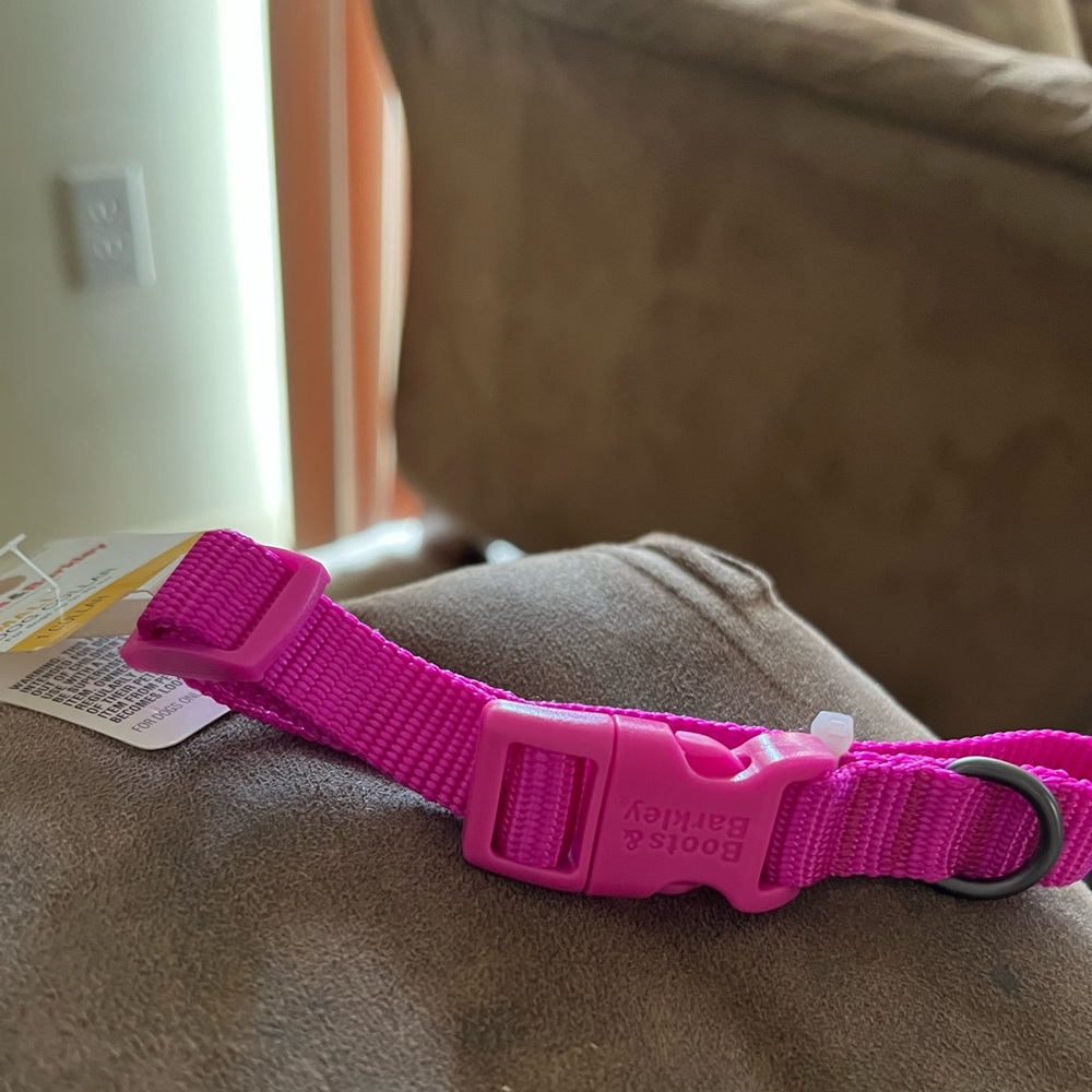 Size small dog collar. Color: pink. Brand new.